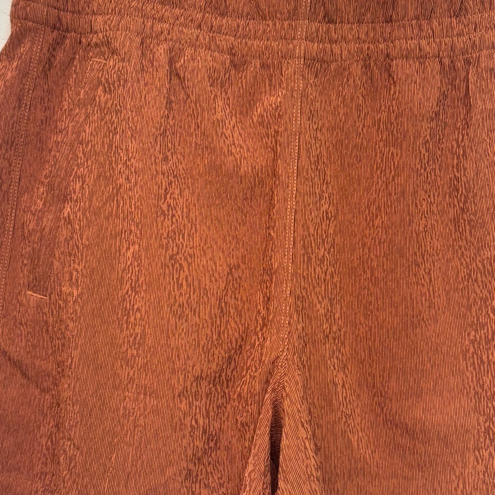 Athleta Echo Shorts - Picture 3 of 4